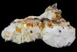 Wulfenite Crystals on Barite - Morocco #68214-2
